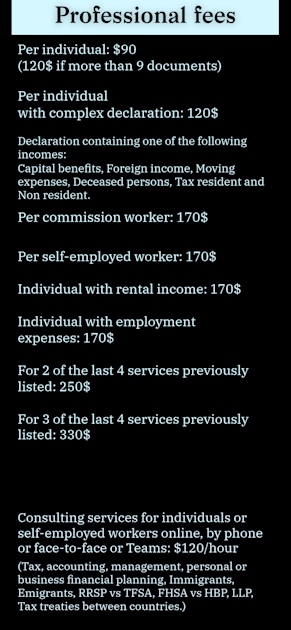Professional Fees