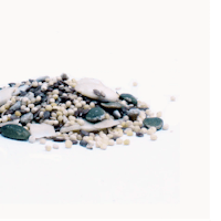 a pile of seeds on a white background