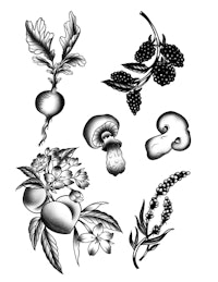 a black and white drawing of various fruits and vegetables