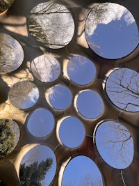 a circular structure in the middle of a forest