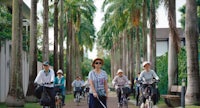 a group of people riding bicycles down a path lined with palm trees