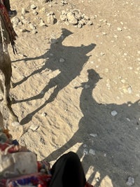 camel ride in egypt