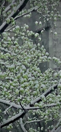 a painting of a tree covered in snow