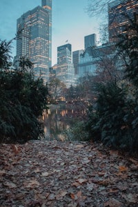 central park in new york city at dusk