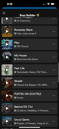a screenshot of a music player on an iphone