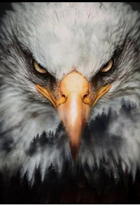 an eagle's face with trees in the background