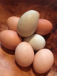 eggs in a wooden bowl on a table