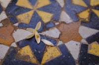 a flower on a tiled floor