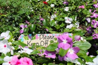 a sign that says please keep off the flowers