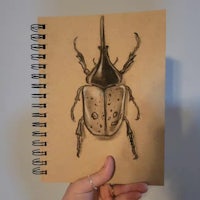 a drawing of a beetle on a spiral notebook