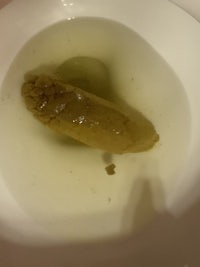 a pickle in a bowl of water