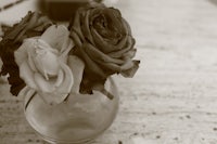 two roses in a glass vase on a table