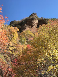 a mountainside with colorful trees and a blue sky