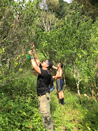two people standing in a grassy area near a tree