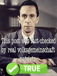 this post was fact checked by real volkswagen
