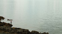 a person standing on a rocky ledge near a body of water