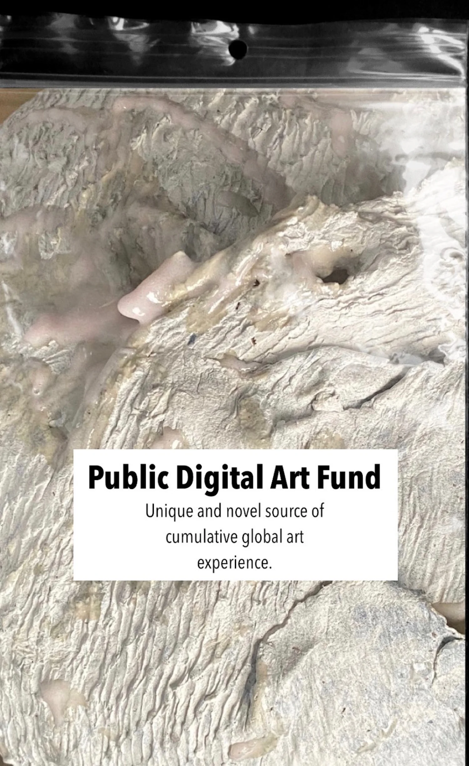 public digital art fund