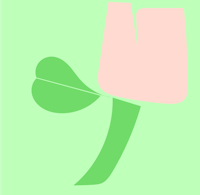 a pink tulip on a green background