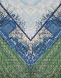 a photo of a grassy field with trees in the background