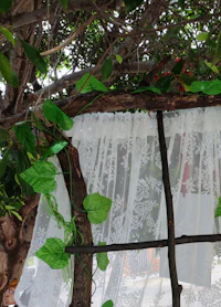 a window with a curtain hanging from it