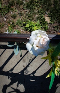 a white flower on a railing