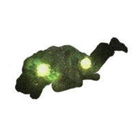 an image of a green frog with glowing eyes