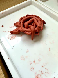 a tray of red clay on a table