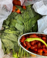 a basket filled with tomatoes and greens