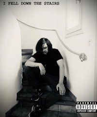 i fell down the stairs cover art