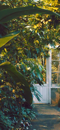 a woman is walking through a garden