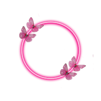 a pink circle with butterflies in it