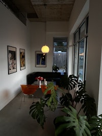 a living room with a table, chairs, and a plant
