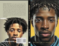missing pieces ii by marco mitchell