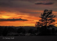 a sunset with a tree in the background