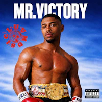 the cover of mr victory