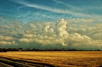 a field with clouds in the sky