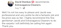 david strakas reviews extravaganza cleaners
