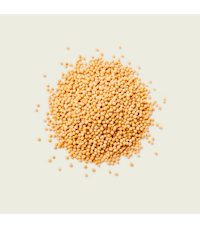 a pile of yellow seeds on a white background
