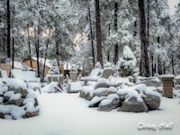 a snow covered wooded area with rocks and trees
