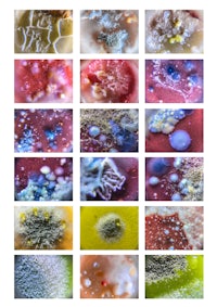 a collage of images of different colored liquids