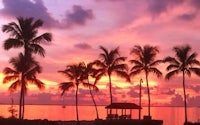 a sunset with palm trees and a pier