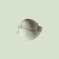 a white ice cream ball on a green background