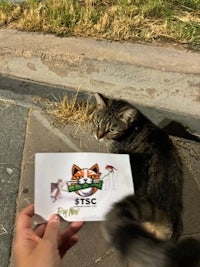 a person holding up a card with a cat on it