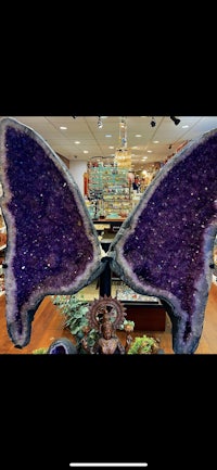 purple amethyst butterfly wings in a store