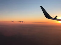 an airplane wing with a cat on it at sunset