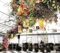 a stage in a greenhouse with flowers hanging from the ceiling