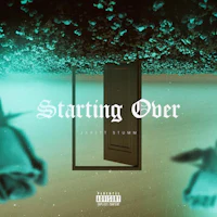 the cover of starting over by lil wayne