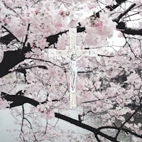 cherry blossoms and a cross on a tree