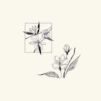 a black and white drawing of flowers and leaves