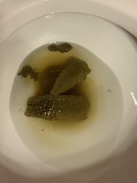 a toilet with a piece of marijuana in it